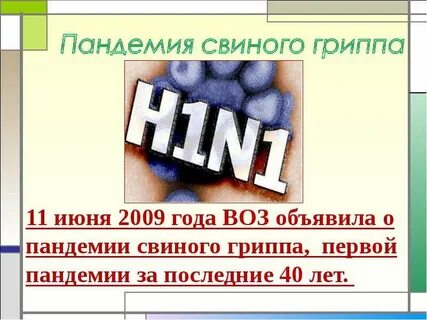 Грипп 2009