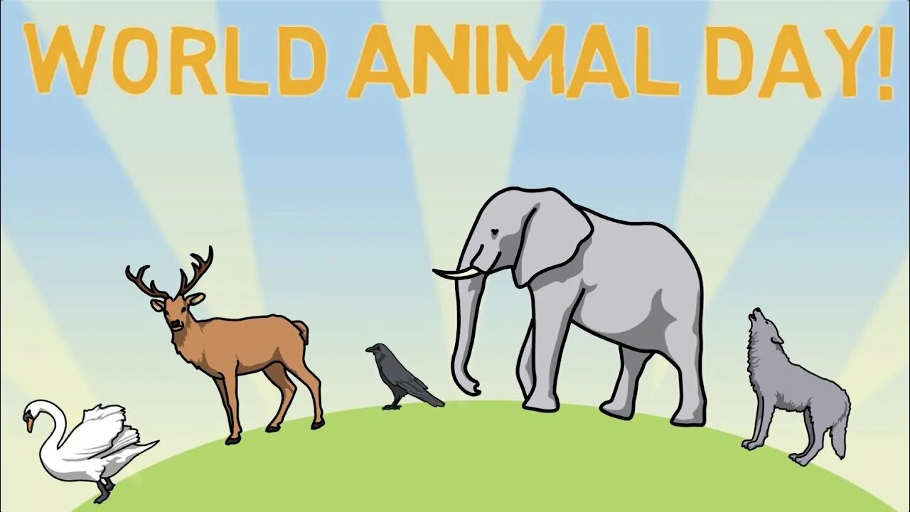 Animal world 2018 gidonline. Разные животные вместе. Много зверей. Животные саванны. New animal world.