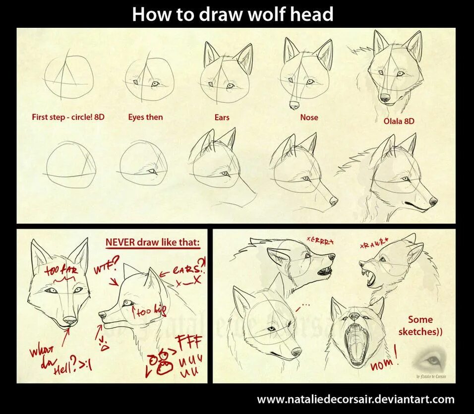How to wolf