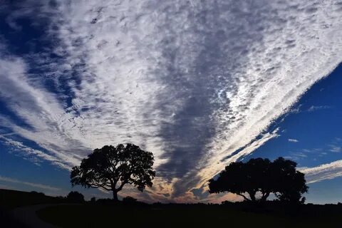 Less cloud