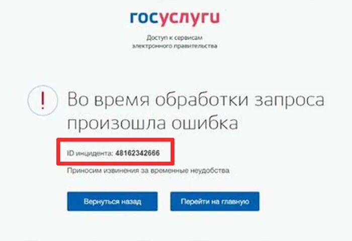 Ошибка обработки заявления. Госуслуги. ошибка на госуслугах. госуслуги код. запрос на госуслуги.