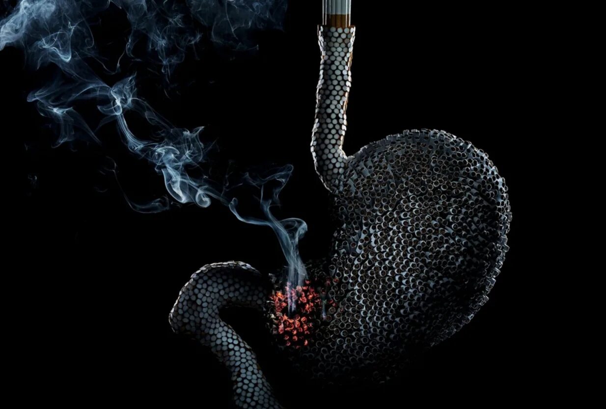 пищеварительная система человека 3d. влияние табакокурения на пищеварительную систему. желудочно-кишечный тракт человека. курение и органы пищеварения. курение и органы пищеварения.