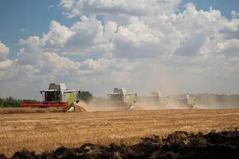 Агрохолдинг владимирская область