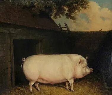 Peter pig