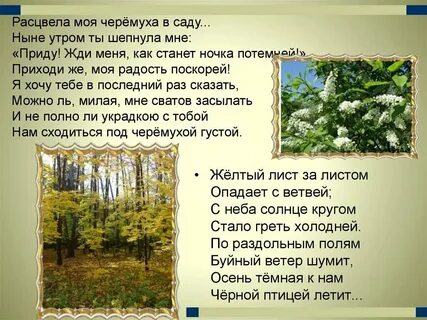 Только ветер буйный поет за кормой чио
