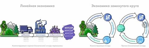 Экономика перерабатывающих