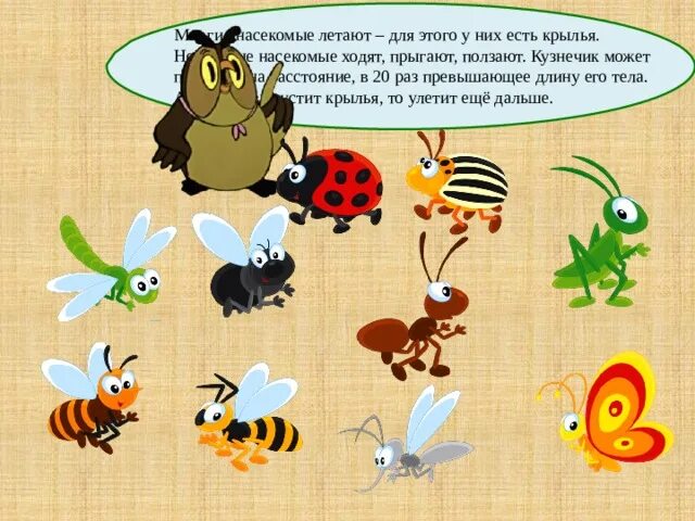 насекомые картинки для детей. насекомые кто ползает кто летает. насекомые с названиями для детей. летающие насекомые. игры про насекомых.