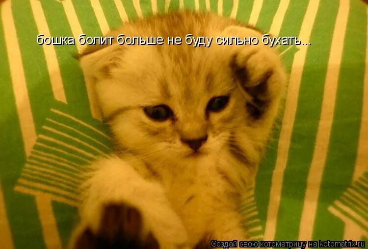 голова не болит картинки. поправляйся выздоравливай. открытки с выздоровлением. хочешь узнать человека забалей. смешные открытки выздоравливай.