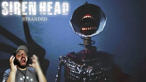 This is head