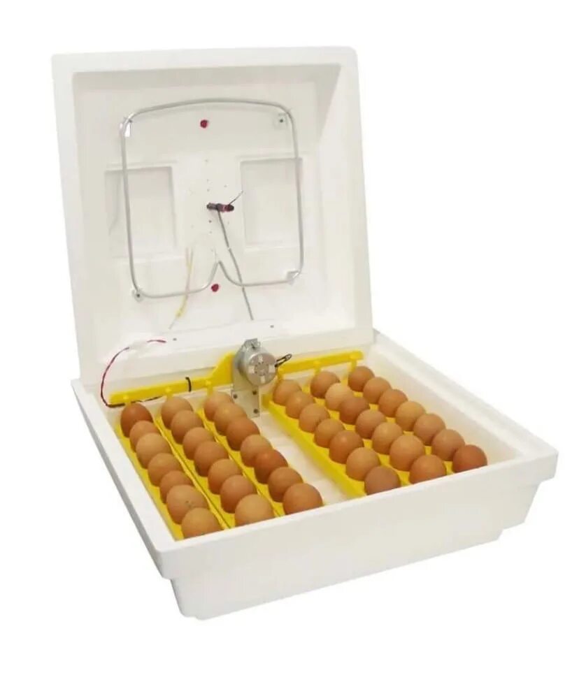 Инкубатор для яиц автоматический на 70 яиц. Инкубатор на 30 яиц. Инкубатор для яиц автоматический на 30 яиц. Инкубатор бытовой малогабаритный ИБМ-30. Инкубатор Минилайн ибм30.