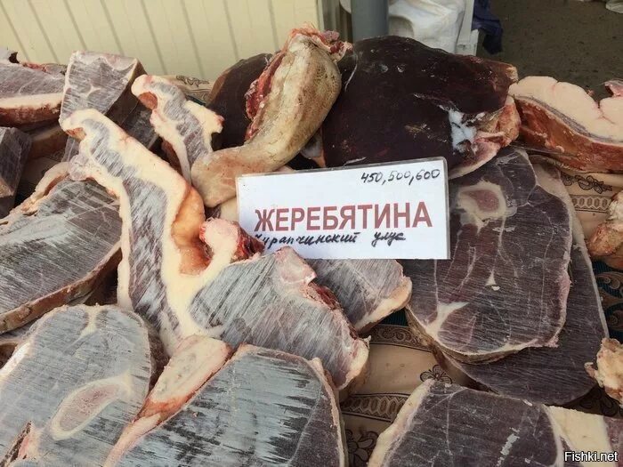 Почему едят конину