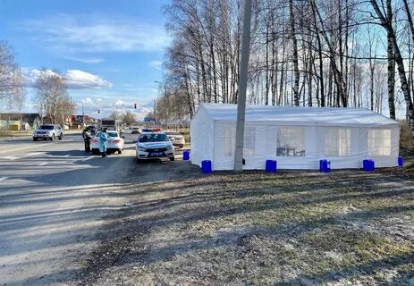 Бор нижегородская область новости