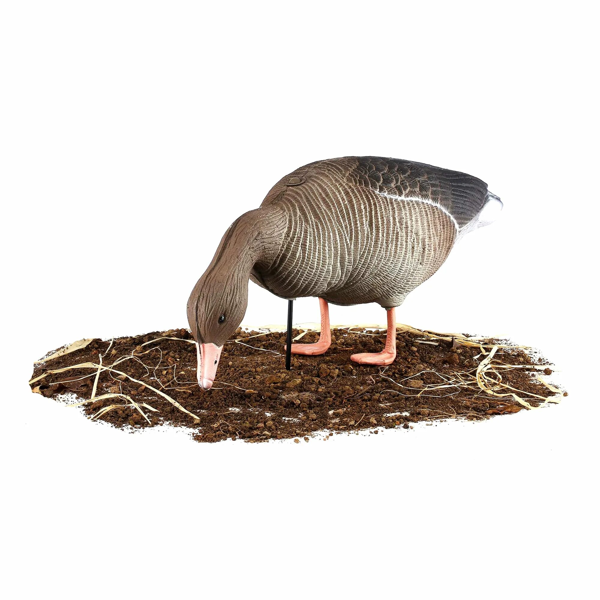 Ру гуси чучела белолобого гуся. Ру. Чучело гуся гуменника. Чучела гусей хре. Аквазон чучела гусей для охоты.