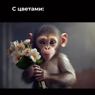 Когда день обезьяны