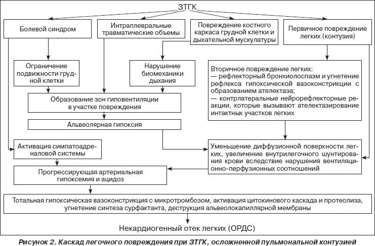 Патогенез повреждения. Классификация закрытой травмы грудной клетки. Ушиб грудной клетки этиология. Закрытые травмы грудной клетки классификация. Закрытая травма груди патогенез.