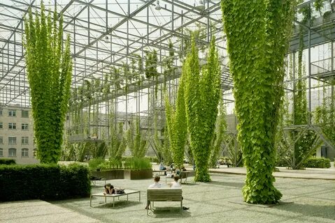 Plant facilities