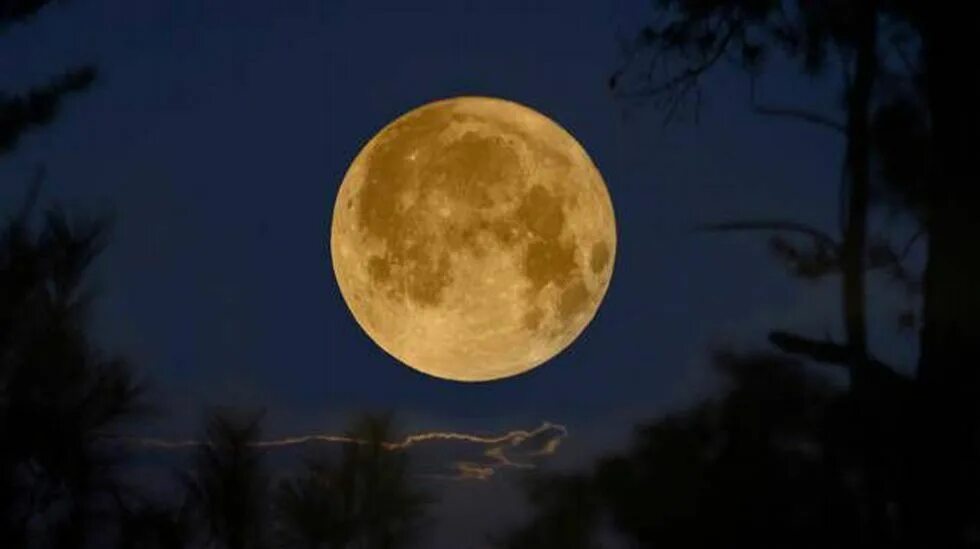 Коричневая луна. Луна. Полная луна бф. Внешний вид луны. Полнолуние астрономия.