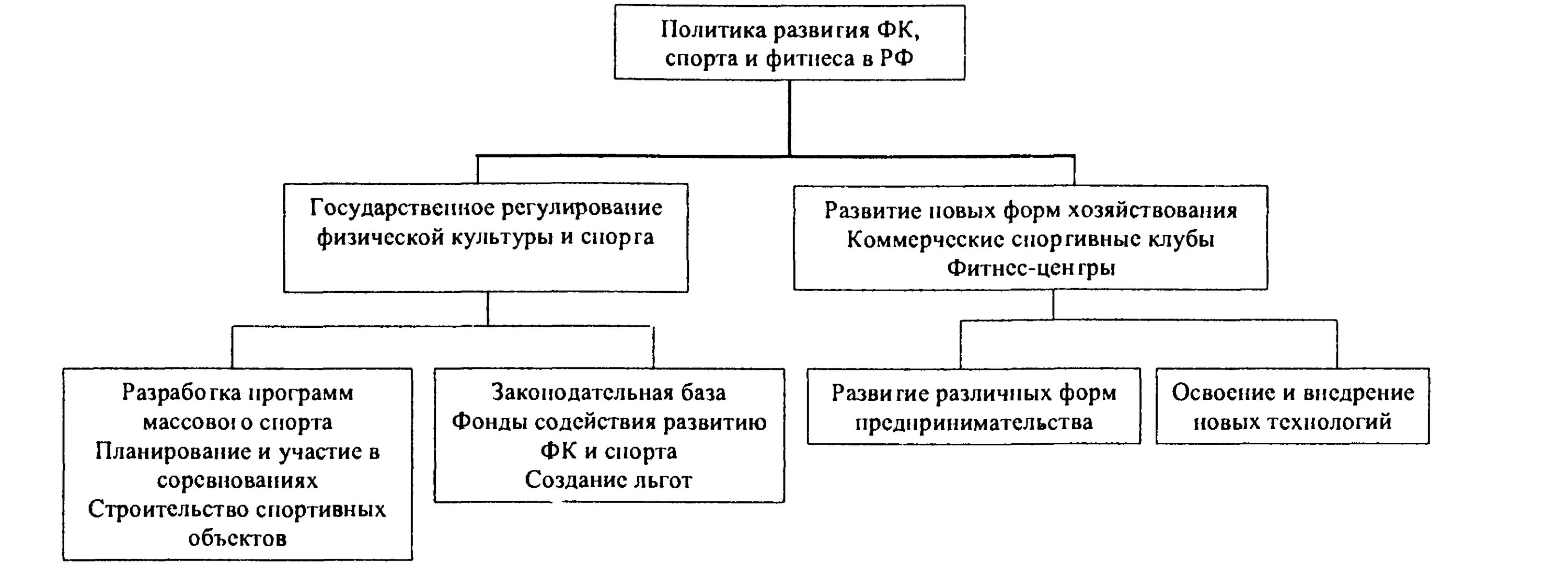 Политика развития спорта. Основные направления гос политики. Политика развития спорта. Политика развития спорта. Проблемы развития спорта.