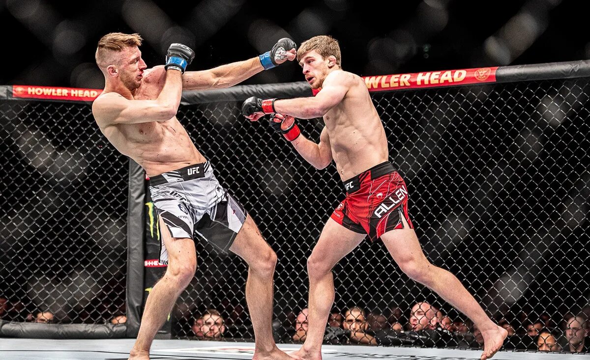 Реванш бивол канело. Аллен ufc. Аллен ufc. Arnold allen ufc. Аллен юфс.