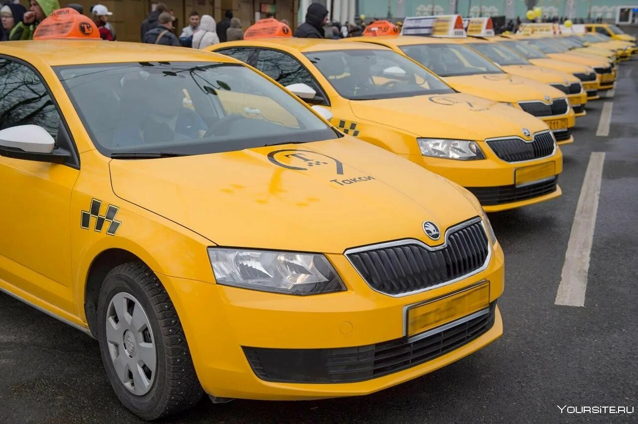 Легковая машина в такси. Шкода Рапид желтая. Skoda Octavia Taxi. Желтый Skoda Rapid Taxi.