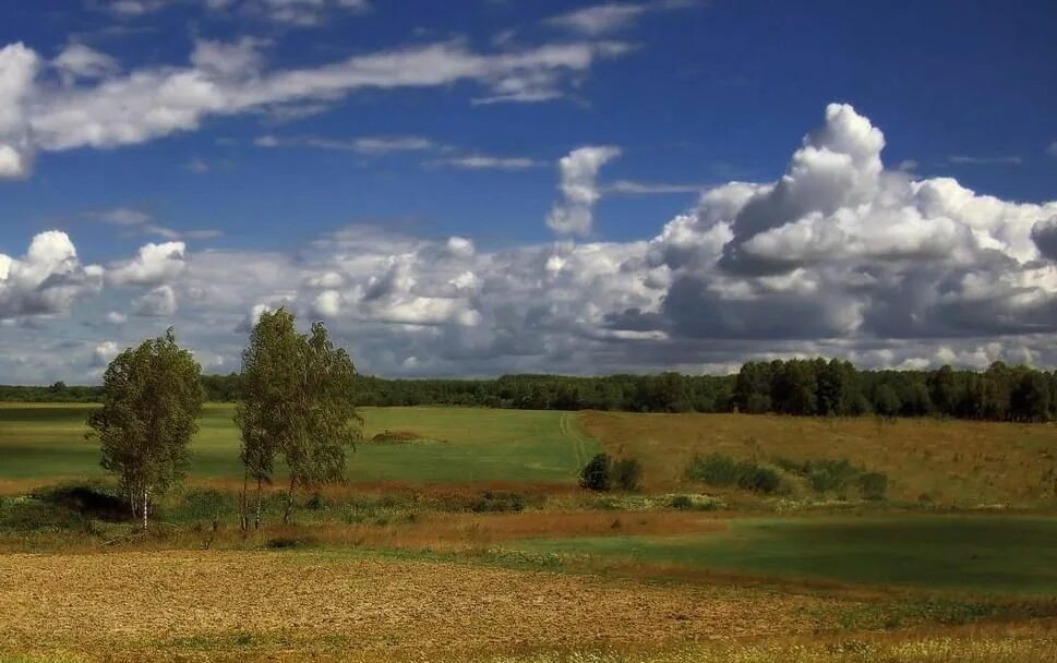 Родина начинается там. Родина. Родина фото. Фото Родины России. С чего начинается Родина фотографии.