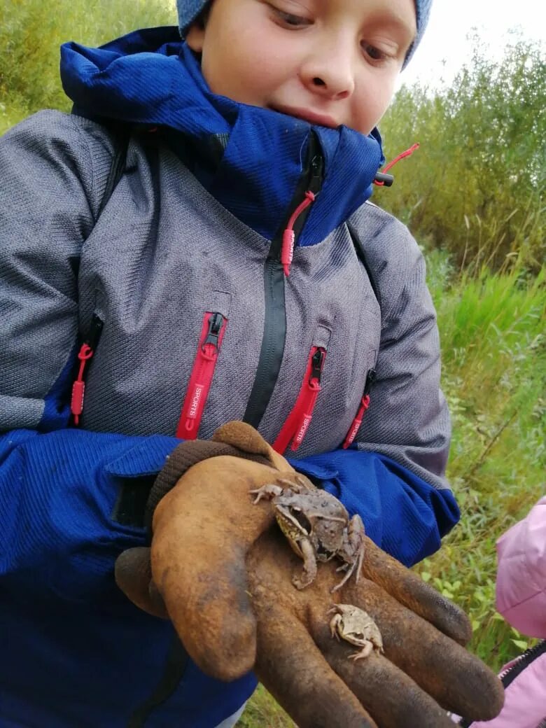 Начинающий натуралист шел вдоль поросшей. Прочитайте отрывок из исторического источника. Синтаксический разбор предложения ветер ветер. Начинающий натуралист шел вдоль поросшей. Начинающий натуралист шел вдоль поросшей.