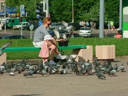 Соседка кормит
