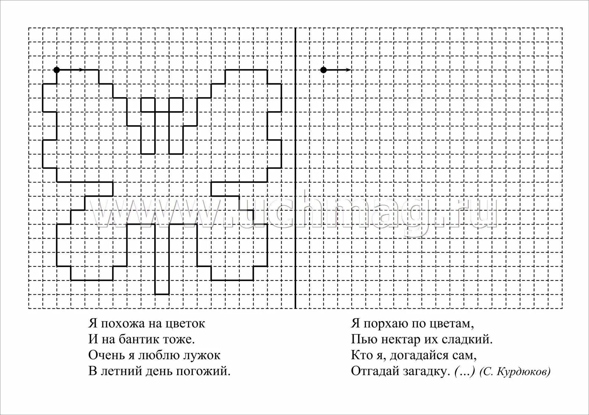 Математический диктант бабочка для подготовительной группы. Графический диктант для подготовительной группы по математике. Графический диктант для первого класса по математике. Математический диктант клетка для дошкольников. 1 клетка 3 н