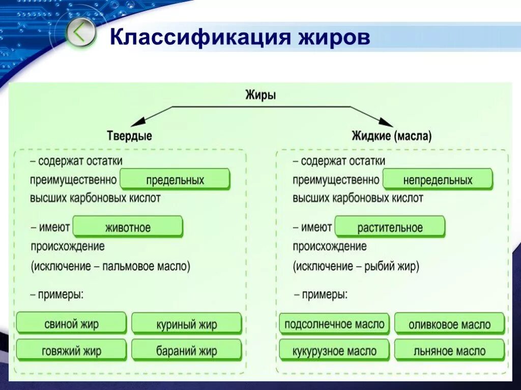 1 группа жиры