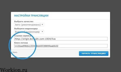 Бонга трансляция
