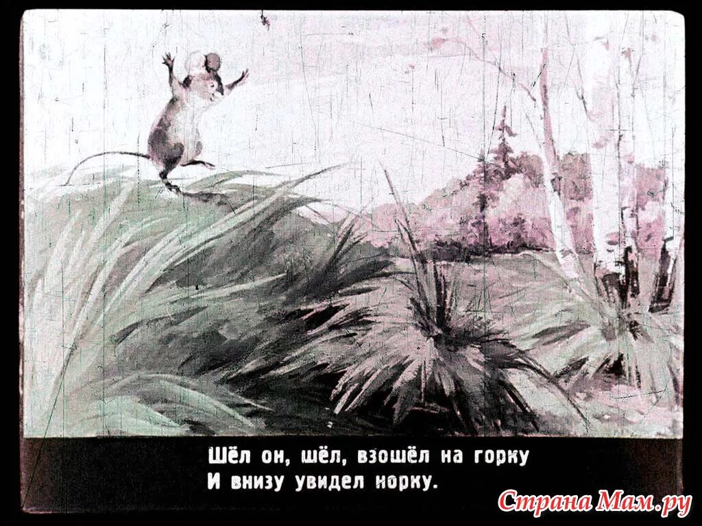Видишь внизу. Сказка об умном мышонке диафильм. шел он шел взошел на горку и внизу увидел норку. мышонок заблудился диафильм. сказка про умного мышонка иллюстрации 1956г.