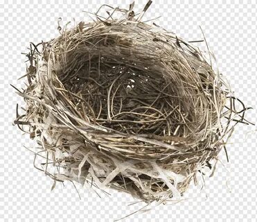 Empty nest