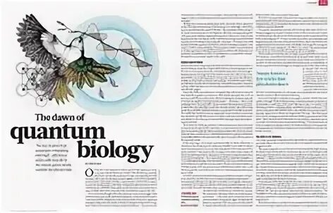 Article about science. Живые существа организмы. Scientific articles pdf. Биология красивыми буквами. A scientist article in english.