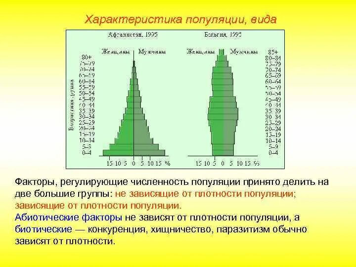 Две популяции. Возрастная структура популяции человека. Возрастная пирамида популяции. Растущая численность популяции. Структура и динамика популяций.