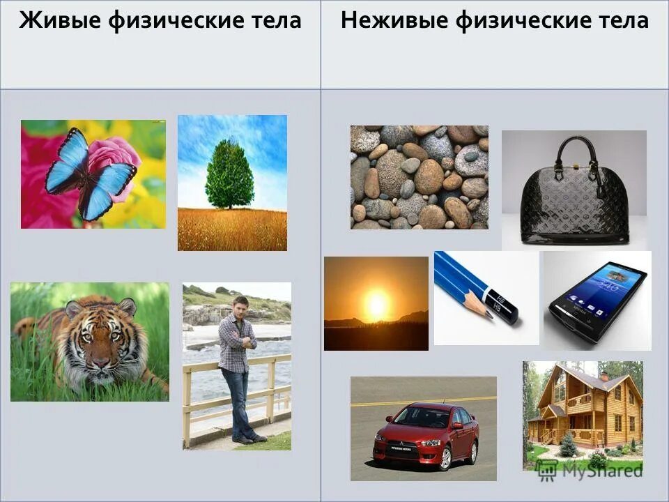 природные неживые тела. живая и недива яприрода. неживые организмы. живые неживые тела. природные неживые тела.