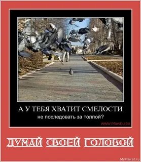 Смелости хватит