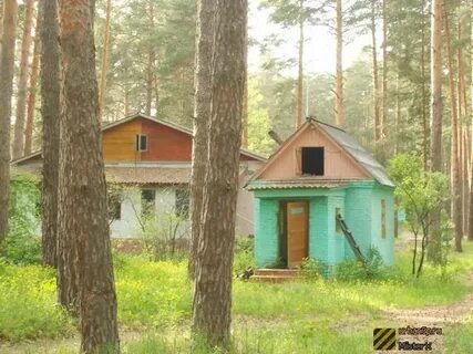 Белинского лесной