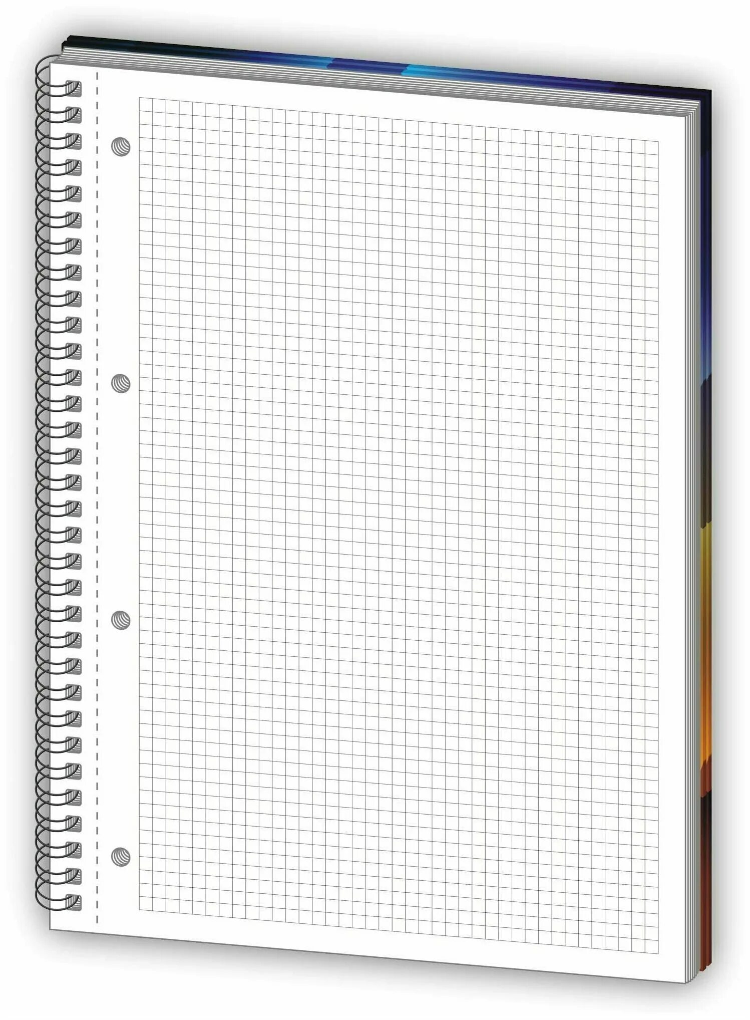 Тетради эрих краузе с пружиной. Тетрадь в клетку формат а4. Бизнес-тетрадь attache а4 96 листов серая в клетку на спирали (200х274 мм). Общая тетрадь формата а4. Тетрадь формата а4 в клетку.