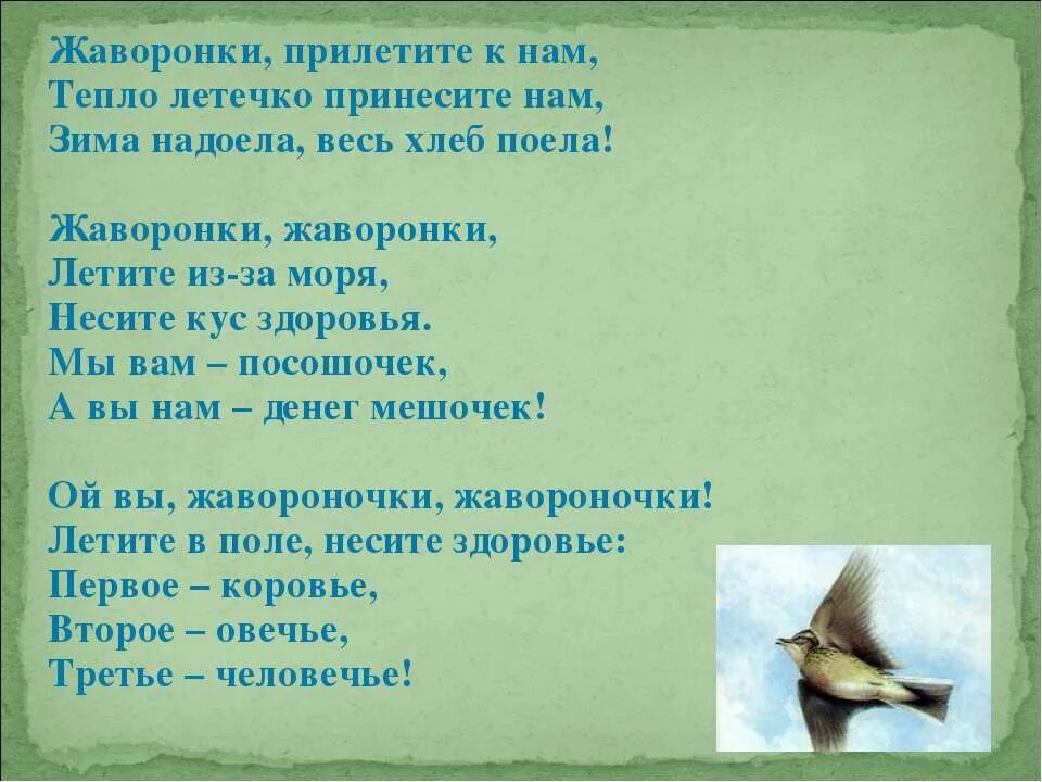 Жаворонки прилетели. Жаворонки Жавороночки прилетите к нам принесите. Стихи про Жаворонков. Стишки про жаворонка. Текст стихотворения жаворонки