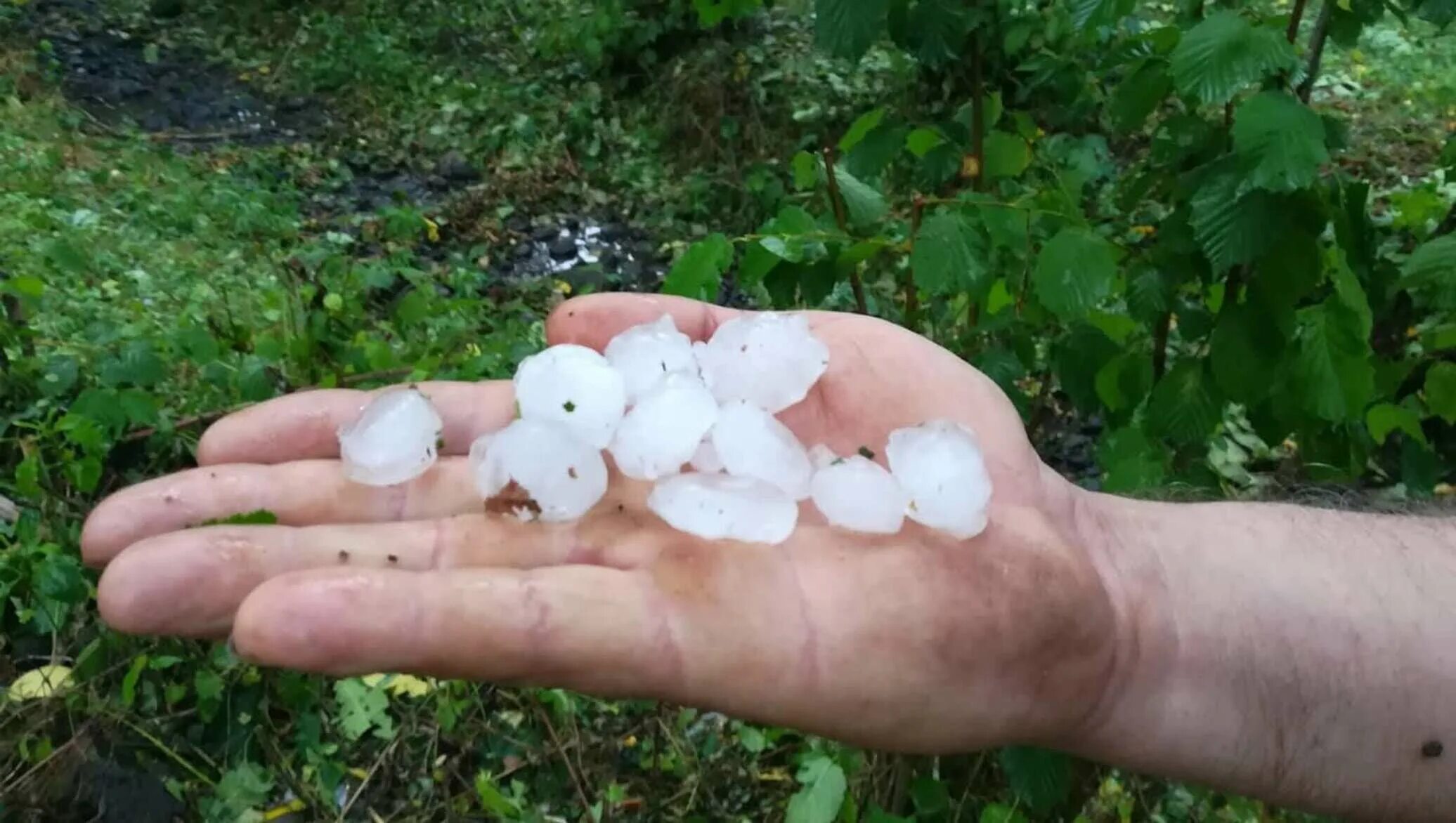 Сильный град. Град в нижнем новгороде. Град в краснодарском крае. Поставлено града. Поставлено града.