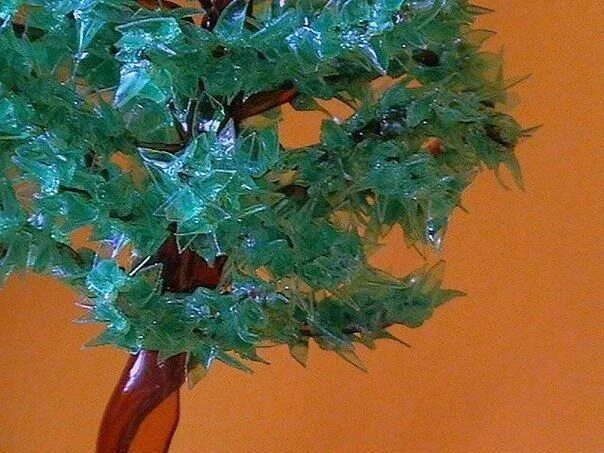 Бутылка из дерева. Пальмы из бутылок пластиковых для сада. Дерево из бутылок пластиковых своими руками. Дерево из пластиковых бутылок своими руками. Дерево из пластиковой бутылки.