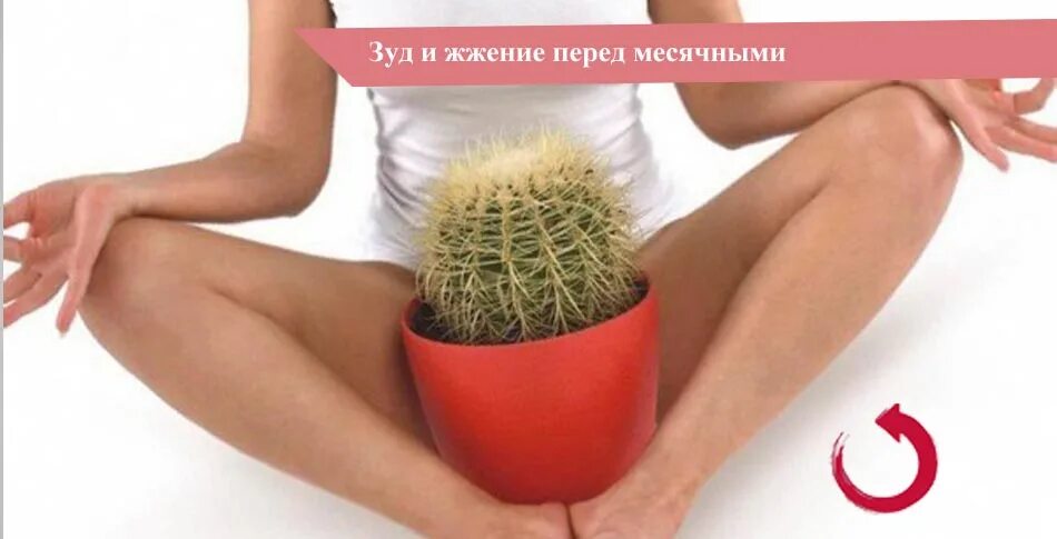 Как лечить зуд в интимном месте. Зуд в интимной зоне у женщин картинки. зуд и жжение перед месячными. жжение и дискомфорт в интимной зоне у женщин.