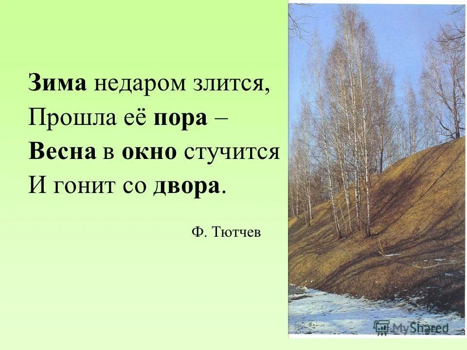 Тютчев окно