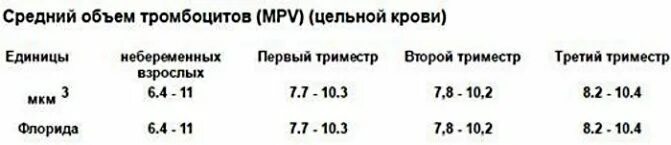 Повышены тромбоциты в крови при беременности. Средний объем тромбоцитов в крови. MPV (средний объем тромбоцитов) 10.5. Средний объем тромбоцитов в крови (MPV). Средний объем тромбоцита MPV повышен.