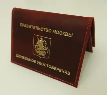 Книжка правительство