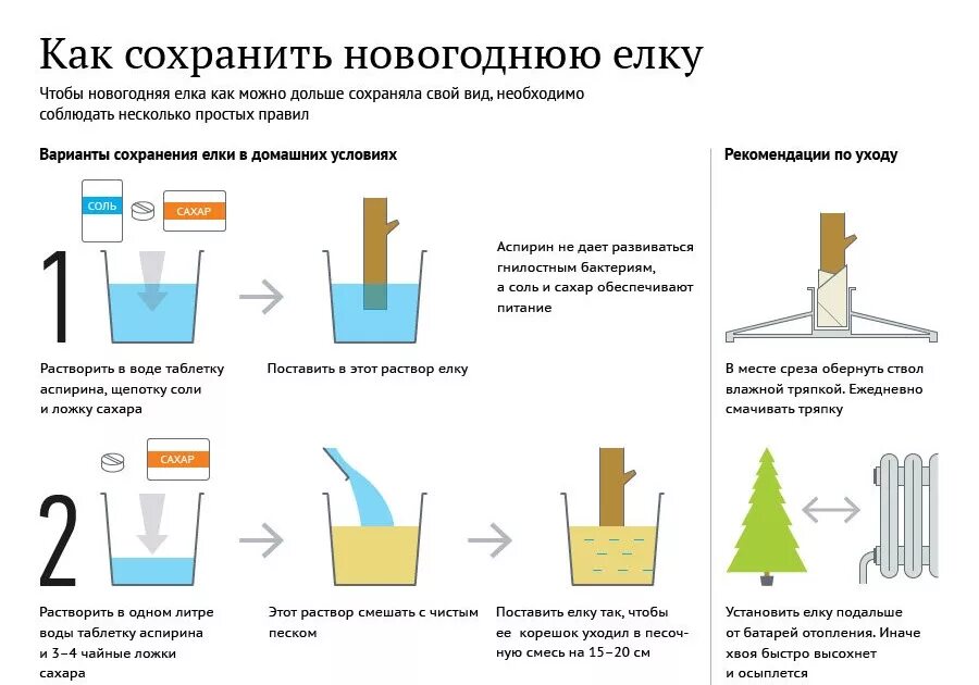 Какую воду заливать в елку. Как правильно устанавливать елку живую. раствор для елки. как сохранить новогоднюю елку в домашних условиях. елка живая как сохранить дольше.