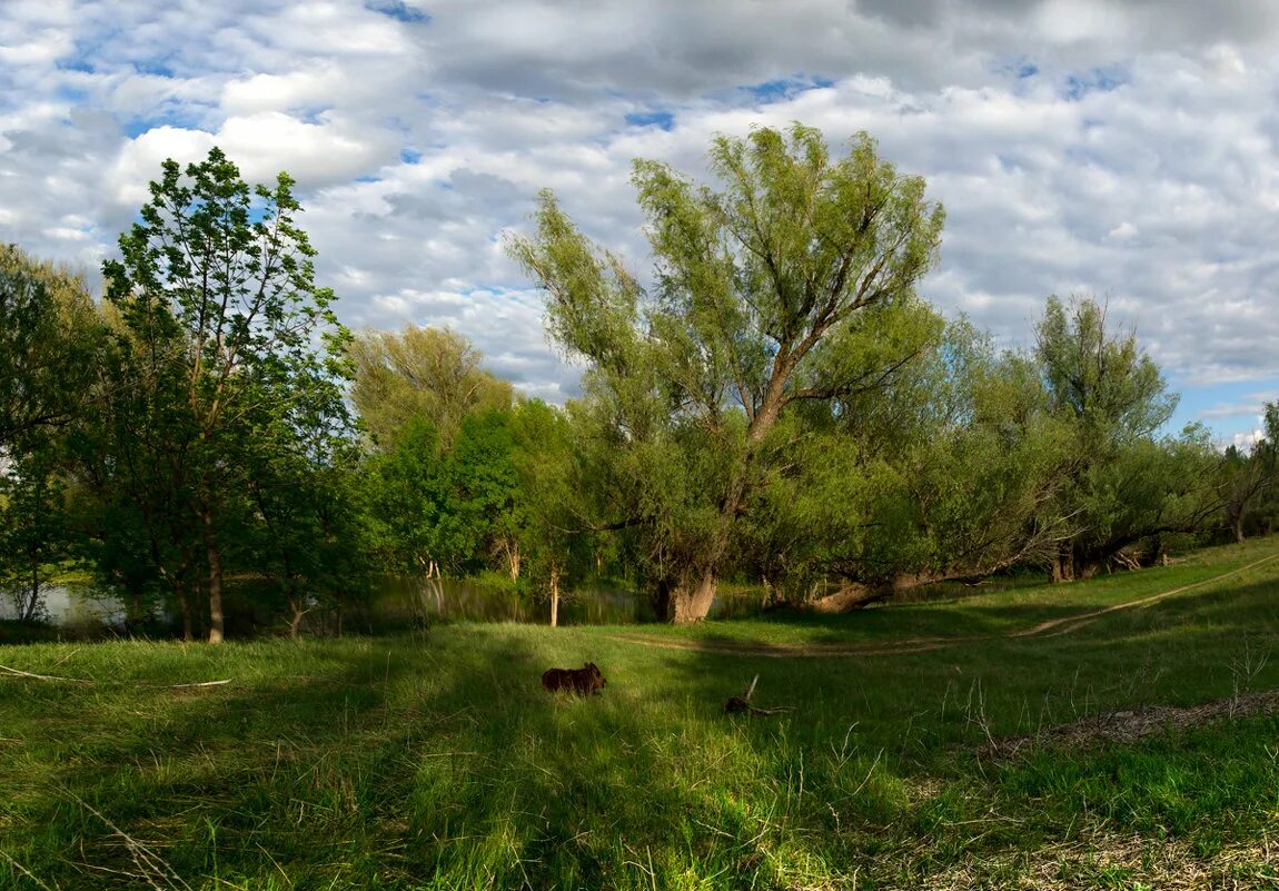 Пойма 2. Татарово каменоломня. Пойма 2. Пойма 2. Пойма города волжского.