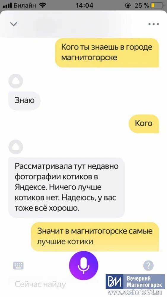 Алиса какая похожа