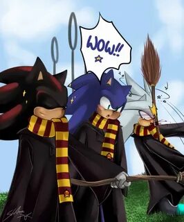 Sonic potter