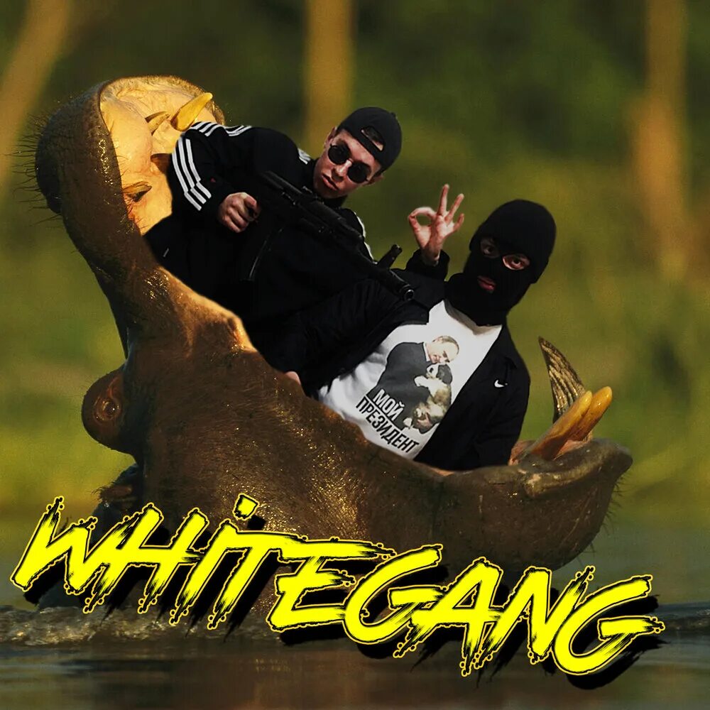Gang white 8000. Gang photo. Одноразовая электронная сигарета gang huge 5500. Old future gang tyler the creator. Gang photo black.